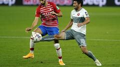 Maxime Gonalons e Irakli Sikharulidze.