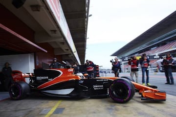 McLaren's Fernando Alonso in a familiar setting.