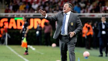 Miguel Herrera da indicaciones a sus jugadores durante un partido de los Tigres.