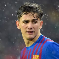 "La 'panda Gavi' parece que va a los autos de choque y le pintan la cara a los que cobran más"