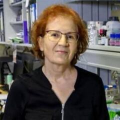 Margarita del Val: "Los ensayos de la vacuna no son la vida real"