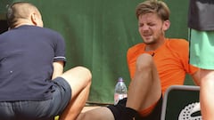 La lona de Roland Garros obliga
a Goffin a retirarse lesionado