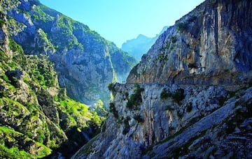 Esta inigualable y famosa ruta comienza en el pueblo de Poncebos, entrando en dirección Sudeste. Conocida como la Garganta Divina, la ruta del Cares nos empequeñece, nos fascina, nos abruma con sus paisajes de roca, sus árboles en lugares imposibles, sus riscos casi inaccesibles, la profundidad del valle excavado por las verdes y cristalinas aguas del río Cares, bajo la atenta mirada del Picu Urriellu (Naranjo de Bulnes), que con suerte veremos al comienzo de la ruta, en la zona de Poncebos. Merece la pena realizar la ruta, de unos 20 kilomtros (ida y vuelta) a paso tranquilo, parando de vez en cuando para disfrutar de la grandiosidad de este paisaje único. No obstante, el Cares nos obliga a extremar las precauciones, a estar pendientes de las posibles piedras que caen, así como al hecho de estar caminando al borde de un precipicio de manera continua sin barandilla.