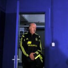 Del Bosque: "Si viene Diego Costa es porque creemos en él"