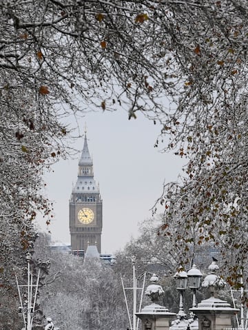 Bonita estampa de los árboles nevados que encuadran la  Torre Elizabeth, más conocida como Big Ben. 