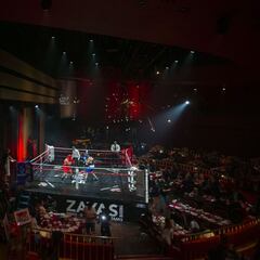 Boxeo y solidaridad se conjugan en Valencia en The Boxing Night