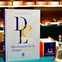 Nuevas palabras en el diccionario: ‘portuñol’, ‘mamitis’, ‘videojugador’...