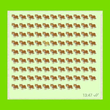 Juegos de Whatsapp para divertirse con amigos y familiares en cuarentena