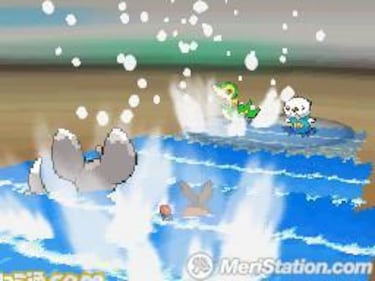 Pokémon Black & White