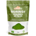 Qué es la moringa: Propiedades y beneficios del “árbol de la vida”