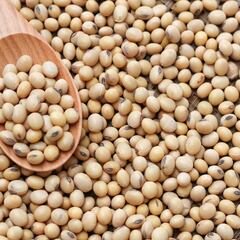 Henry Ford’s soybean car: The eco-friendly dream that came 80 years too early