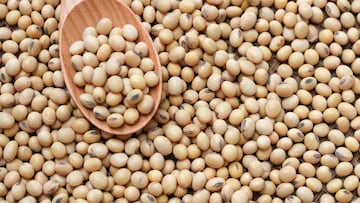 closeup is some soybeans