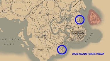 Todos los objetos exóticos de Red Dead Redemption 2