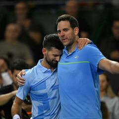 Djokovic hace realidad el último desafío de Del Potro como profesional