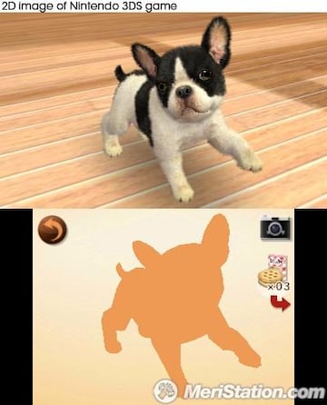 Captura de pantalla - nintendogs_tricks_left_paw_uk_all_languages.jpg