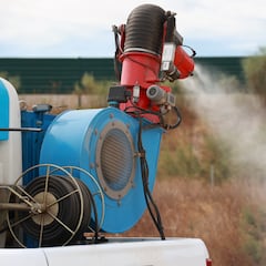 What is the West Nile virus, and in which US states have cases been reported in 2024?