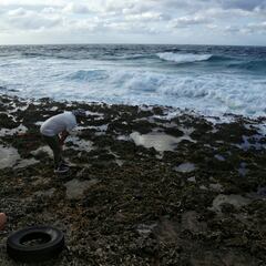 Huracán Julia: ¿hacia dónde se dirige y qué posibilidades hay de que aumente de categoría?