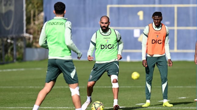 Fali está de vuelta