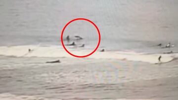 Tiburón salta sobre un surfista en New Smyrna Beach, Florida