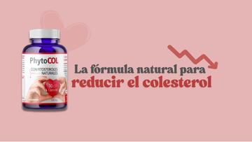 La eficacia de Phytocol se debe a los fitosteroles naturales, siendo un complemento que puedes encontrar en Amazon.