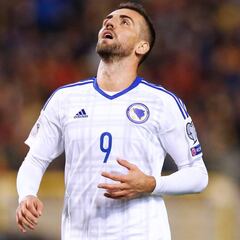 Ibisevic: adiós a la selección tras quedar fuera del Mundial