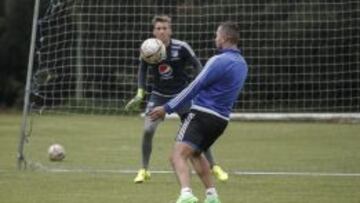 Nicolás Vikonis y Andrés Felipe Cadavid, la cuota de experiencia del Millonarios 2016