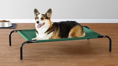 Evita que tu mascota pase calor con esta cama fresca para perros con 55.000 valoraciones en Amazon