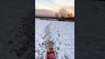Alexis mostró el increíble paisaje invernal de Londres