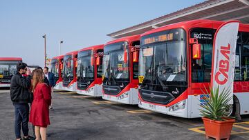 Antofagasta suma 12 nuevos buses eléctricos y se convierte en la región con más unidades fuera de Santiago