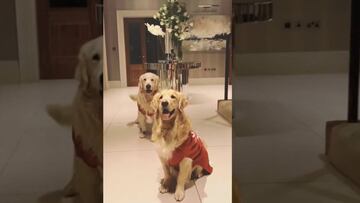 Alexis mostró a sus perros con los regalos del Arsenal