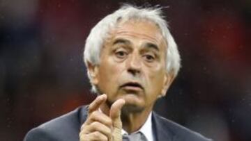 Halilhodzic, nuevo seleccionador nip&oacute;n