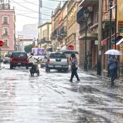 Frente Frío 21 en México, resumen 3 de enero: Estados con heladas, vientos y lluvias | Última hora