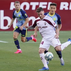 Caballo, positivo en coronavirus