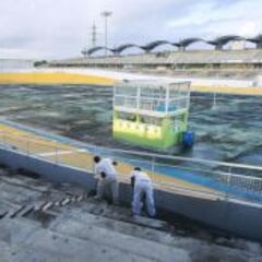El capricho de Noah: Davis en Guadalupe y tierra de Francia