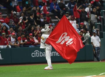 Diablos Rojos, Liga Mexicana de Béisbol