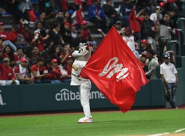 Diablos Rojos, Liga Mexicana de Béisbol 