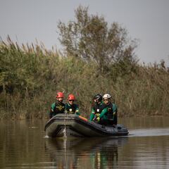 Hallan tres muertos en el parque natural de la Albufera