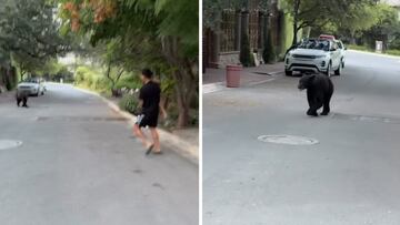 ¡Qué miedo! Ángel Correa y su familia se encuentran de cara con un oso