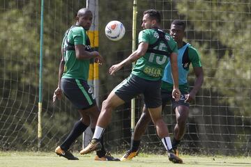 Atlético Nacional espera revertir la serie de cuartos ante Deportes Tolima.