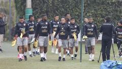 Perú afina su estrategia