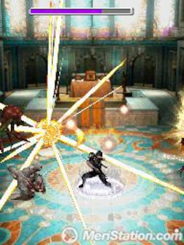 Ninja Gaiden Dragon Sword, Impresiones