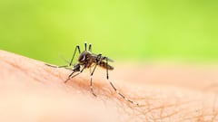 The Chinese military’s mosquito-sized micro-drone with “wings” and “legs” that can perform missions on and off the battlefield