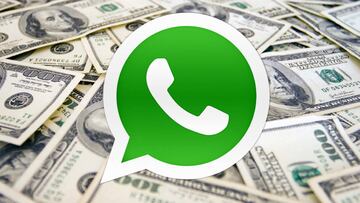 WhatsApp Store. ¿Qué comprar en la tienda de WhatsApp?