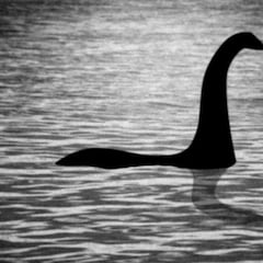 Locura con el monstruo del lago Ness en Escocia: “Es una oportunidad real”