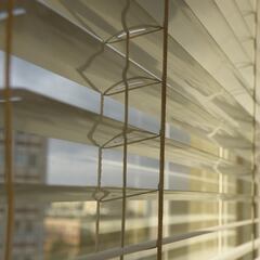 El motivo por el que no debes bajar las persianas del todo si te vas de vacaciones