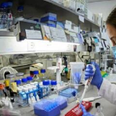 REGN-COV2, el fármaco contra el coronavirus que se probará en Chile