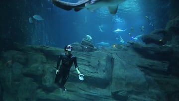 An international team of researchers has shed light on the genetic and learned characteristics that aid South Korea’s renowned “Haenyeo”.