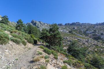 También en la Sierra de Guadarrama podremos disfrutar de la conocida como ruta del Hoyo Cerrado, un recorrido que se inicia en la Senda de la Avutarda ascendiendo hacia el Hoyo Cerrado y descendiendo por el Camino de San Blas, disfrutando de los paisajes del valle del Lozoya.