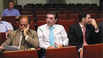 <B>CONVENCIDO CON EL PROYECTO</B>. Luciano Huelga (en el centro) confía en el proyecto de Manuel Lafuente.