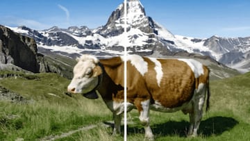 ia inteligencia artificial diferenciar fotos IA reales google synthID descargar synghtID programas de edicion de fotos